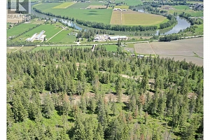 201 Crooked Pine Road - Photo 37