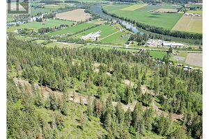 201 Crooked Pine Road - Photo 38