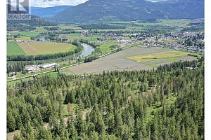 201 Crooked Pine Road - Photo 39