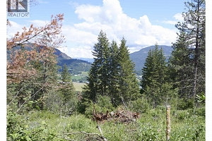 201 Crooked Pine Road - Photo 49