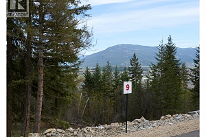 201 Crooked Pine Road - Photo 7