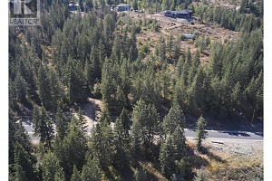 201 Crooked Pine Road - Photo 9