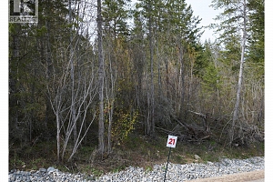 222 Crooked Pine Road - Photo 2