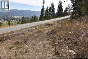 222 Crooked Pine Road - Photo 6