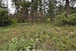 9354 Westside Road - Photo 12