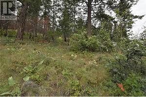 9354 Westside Road - Photo 13