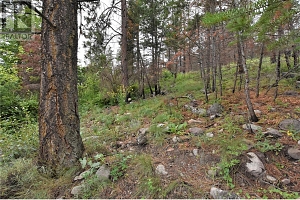 9354 Westside Road - Photo 17