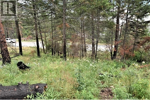 9354 Westside Road - Photo 19