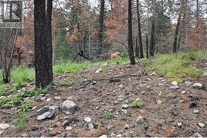 9354 Westside Road - Photo 21