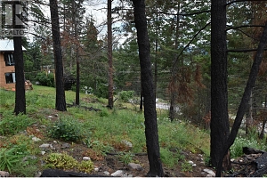 9354 Westside Road - Photo 22