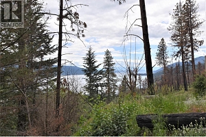9354 Westside Road - Photo 4