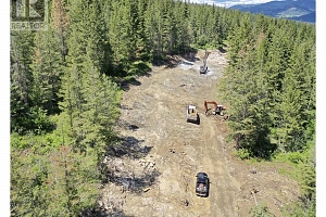 252 Crooked Pine Road - Photo 15