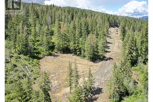 252 Crooked Pine Road - Photo 16