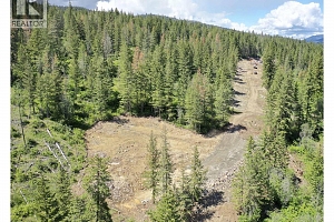 252 Crooked Pine Road - Photo 21