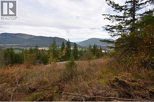 252 Crooked Pine Road - Photo 3