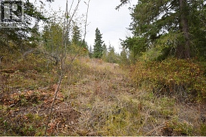 252 Crooked Pine Road - Photo 5