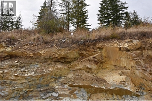 252 Crooked Pine Road - Photo 6