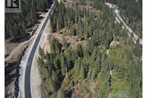 249 Crooked Pine Road - Photo 13