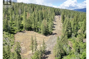 249 Crooked Pine Road - Photo 19