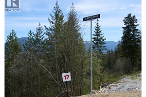 249 Crooked Pine Road - Photo 2