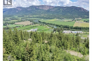 249 Crooked Pine Road - Photo 22