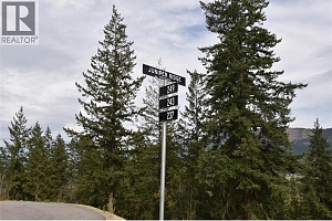 249 Crooked Pine Road - Photo 5