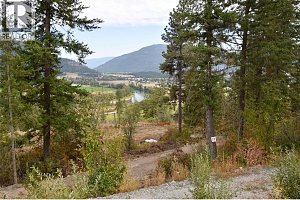 219 Crooked Pine Road - Photo 2