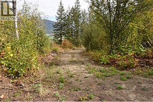 219 Crooked Pine Road - Photo 4