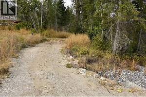 219 Crooked Pine Road - Photo 6