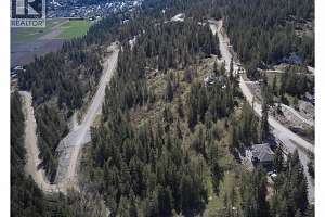 219 Crooked Pine Road - Photo 8