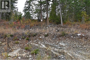 246 Crooked Pine Road - Photo 3