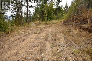 246 Crooked Pine Road - Photo 4