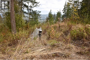 246 Crooked Pine Road - Photo 5