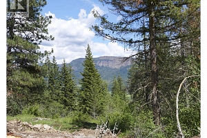 345 Oxbow Place - Photo 8