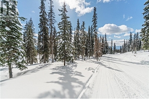 Lot 2 Black Forest Road Lot# 2 - Photo 3