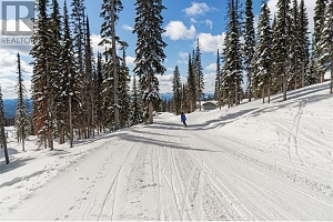 Lot 2 Black Forest Road Lot# 2 - Photo 4