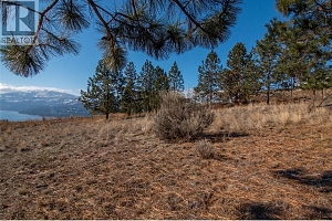 8836 Tavistock Road - Photo 11