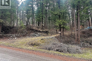 Lot 91 Houghton Road Lot# 91 - Photo 16