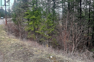 Lot 91 Houghton Road Lot# 91 - Photo 3