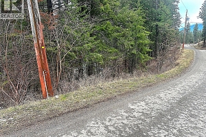 Lot 91 Houghton Road Lot# 91 - Photo 3