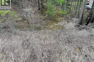 Lot 91 Houghton Road Lot# 91 - Photo 5