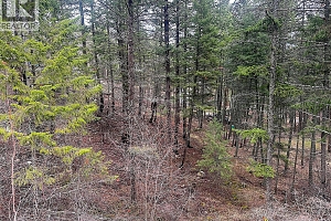 Lot 91 Houghton Road Lot# 91 - Photo 7