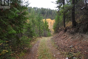 144 Acres South Fork Road - Photo 10