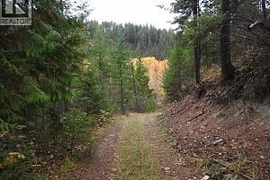 144 Acres South Fork Road - Photo 10