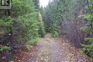 144 Acres South Fork Road - Photo 12