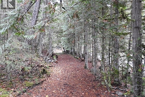 144 Acres South Fork Road - Photo 13