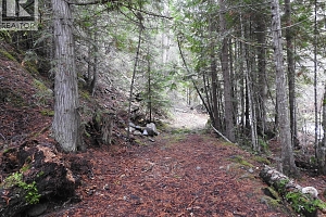 144 Acres South Fork Road - Photo 14