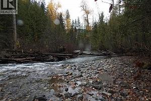 144 Acres South Fork Road - Photo 15