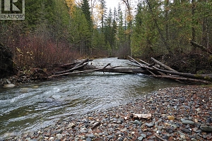 144 Acres South Fork Road - Photo 16