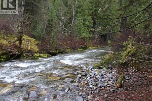 144 Acres South Fork Road - Photo 17